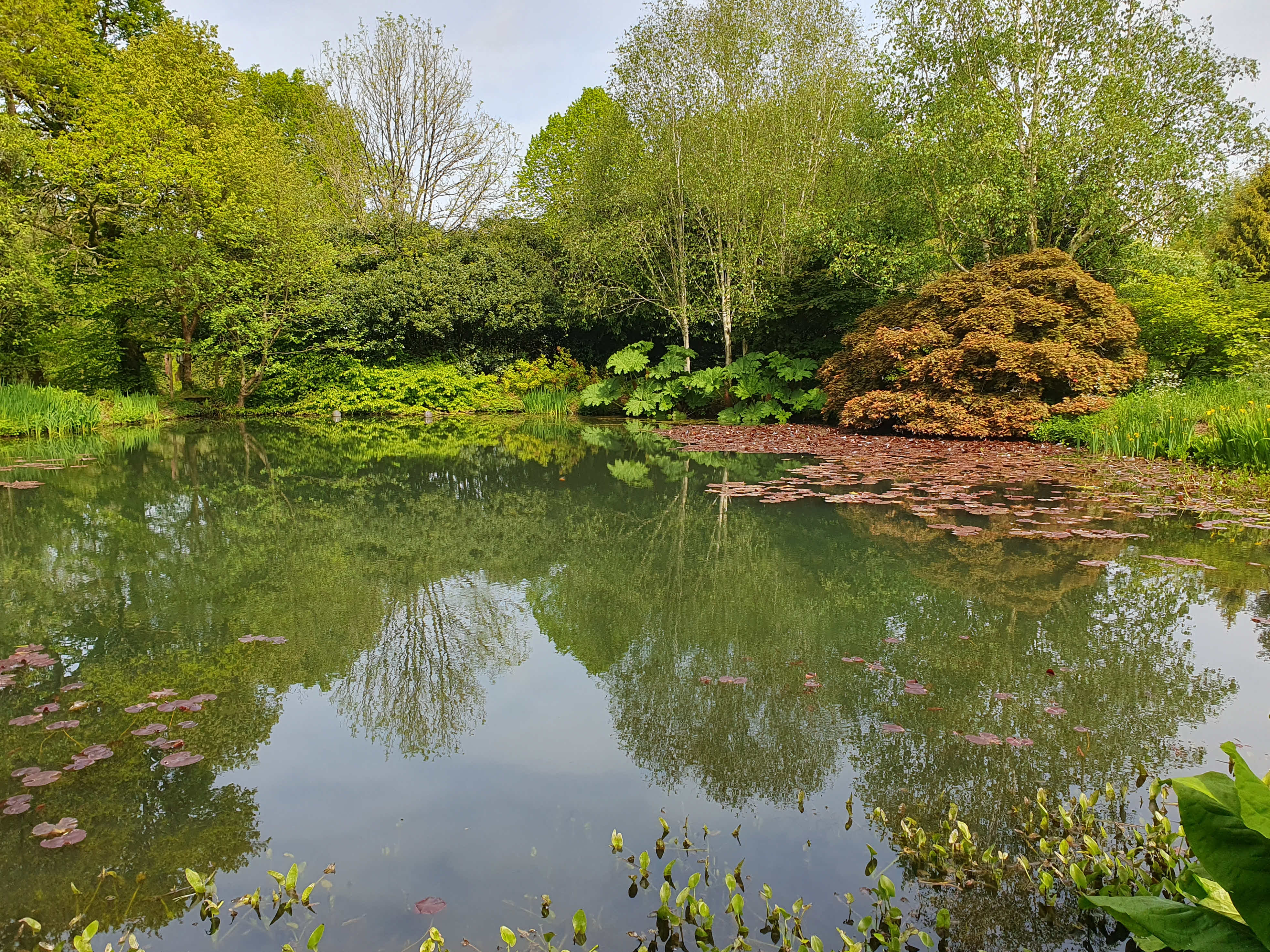 RHS Rosemoor