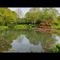 RHS Rosemoor